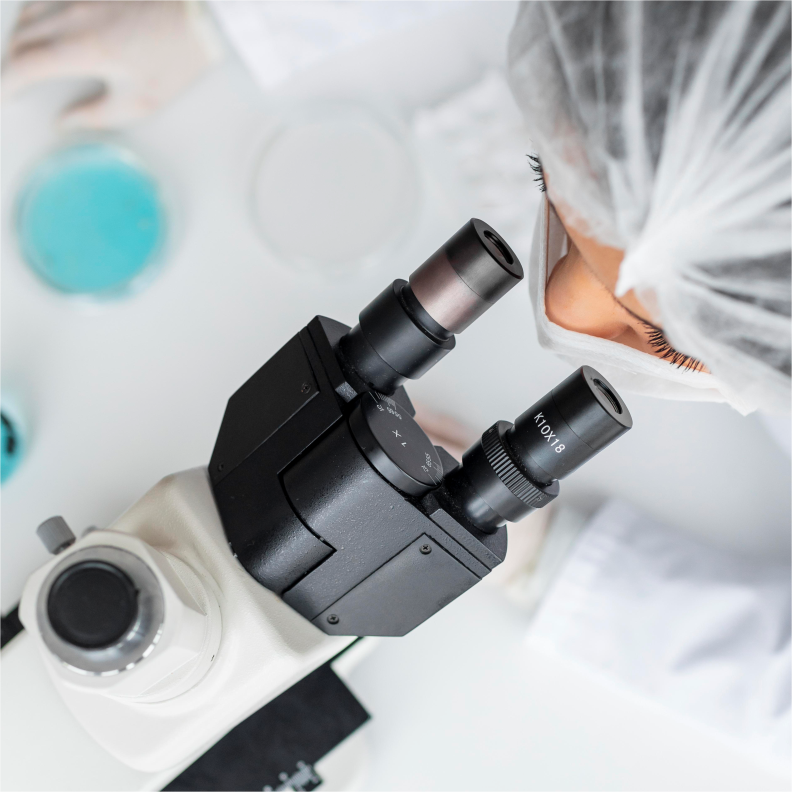 Medicina Regenerativa e Engenharia de Tecidos